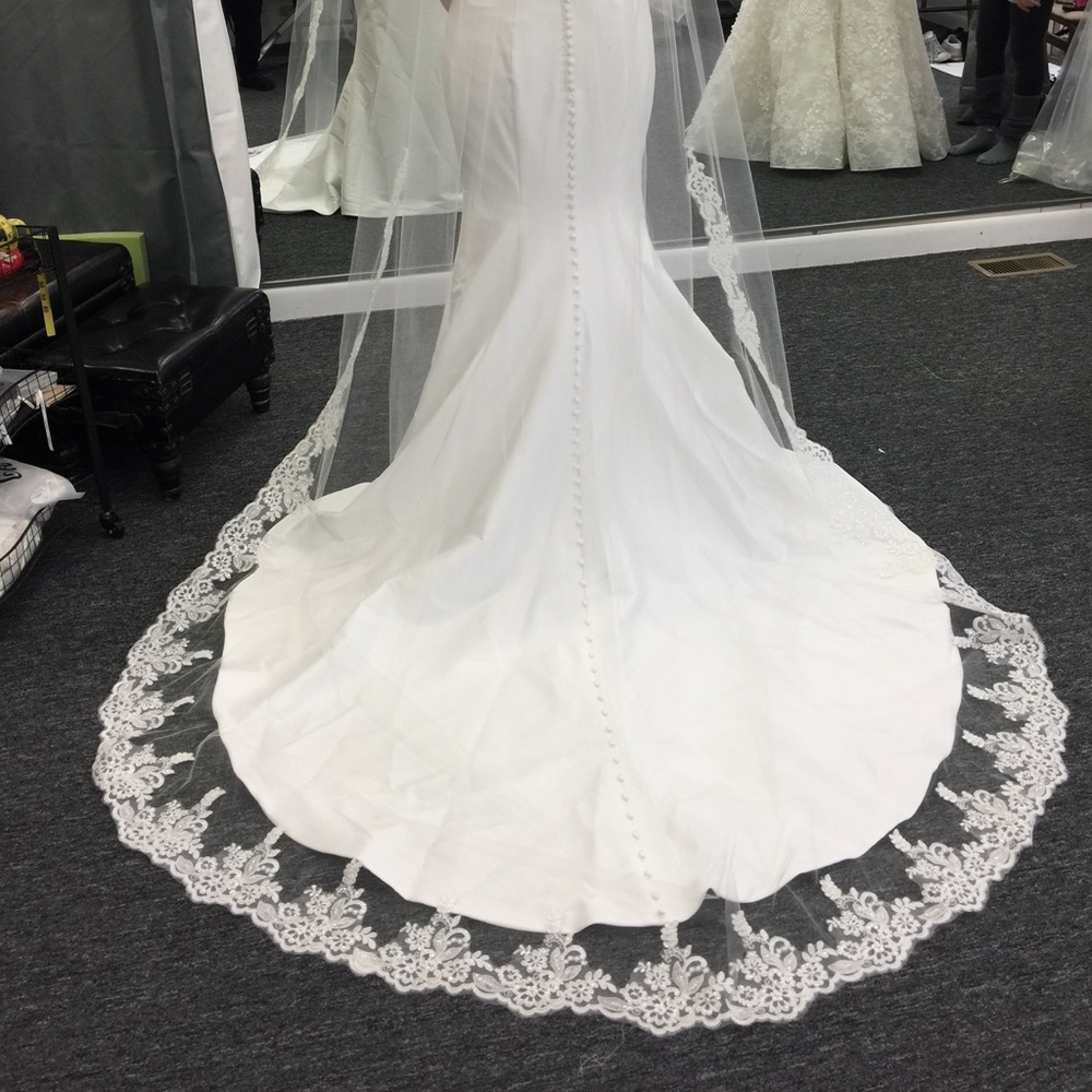 Cathedral length veil